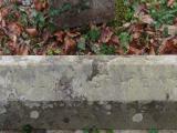 image of grave number 614284